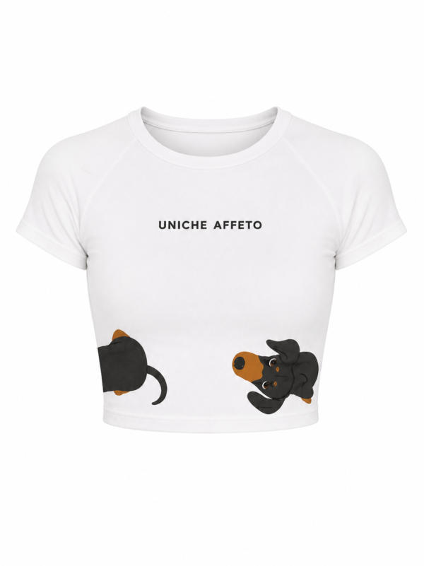 LUCENT CROP TOP